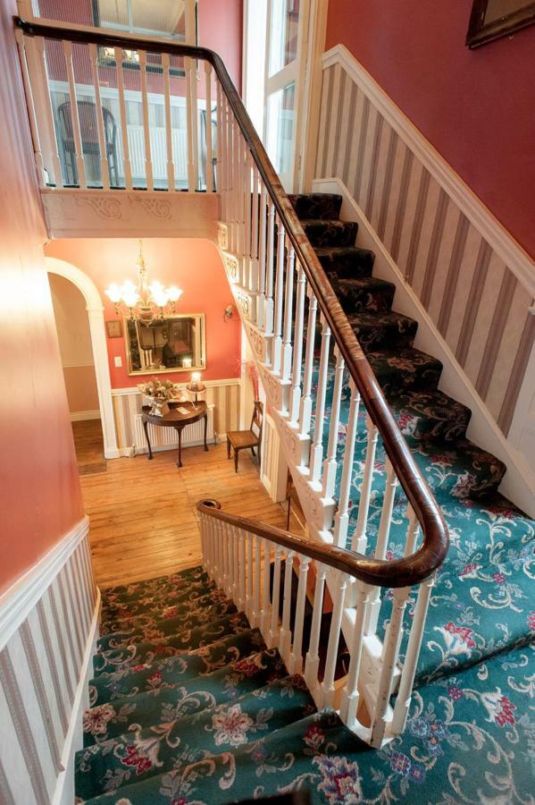 Setanta B&B Ardee Dış mekan fotoğraf